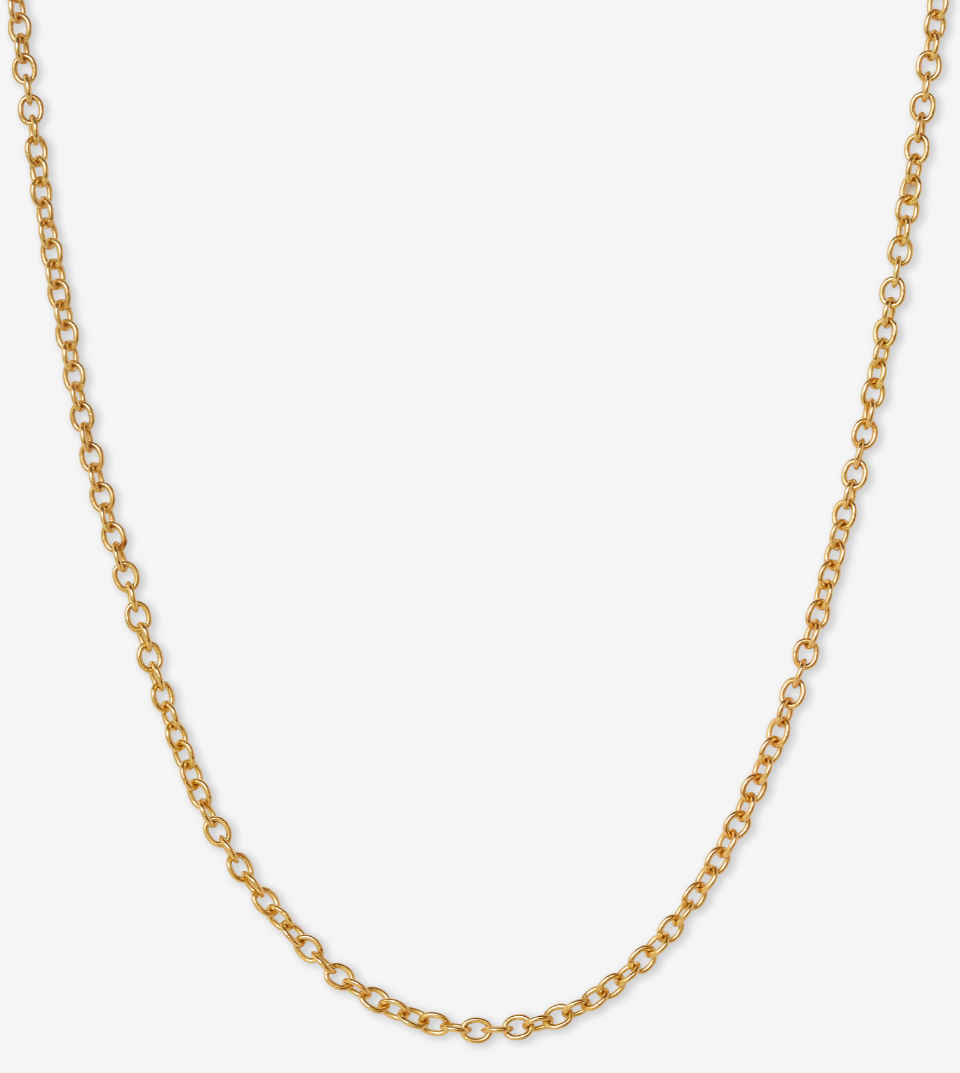 Rolo Chain Necklace in 14k Yellow Gold